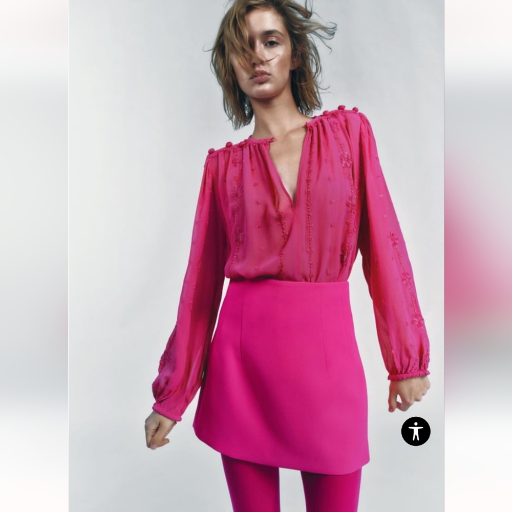 BNWT! Zara Embroidered blouse limited edition
